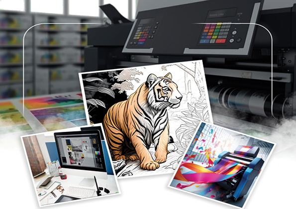 بروفايل المحترف3