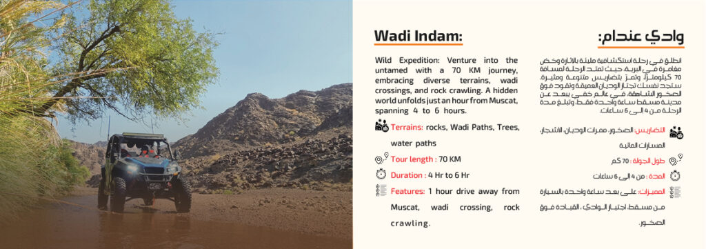 fox atvs portifolio22